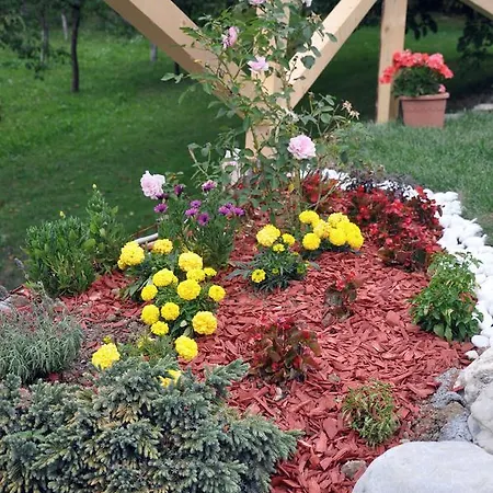 Гостевой дом Apartma Romana Spodnji Otok