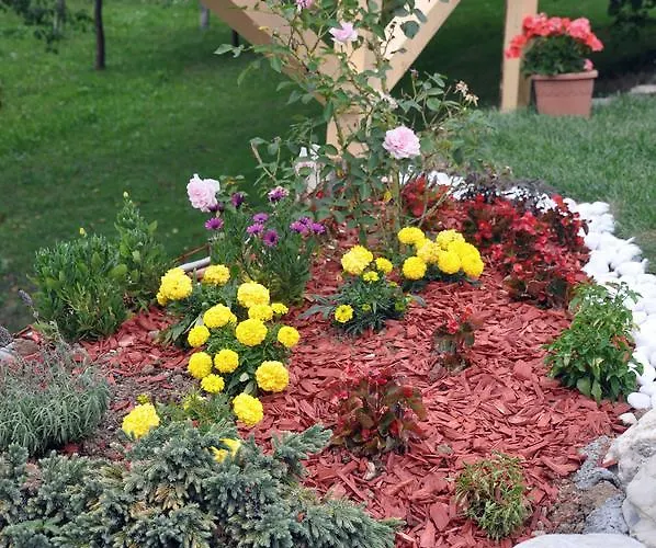 Penzion Apartma Romana Spodnji Otok